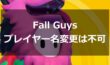 【FALL GUYS】名前変更は出来ない/PS4版は変更可能