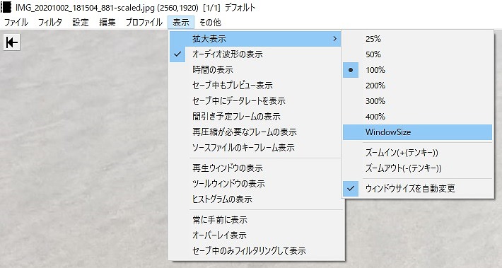 AviUtl】ウィンドウサイズが合わない時の対処法  もみじの咲く頃に