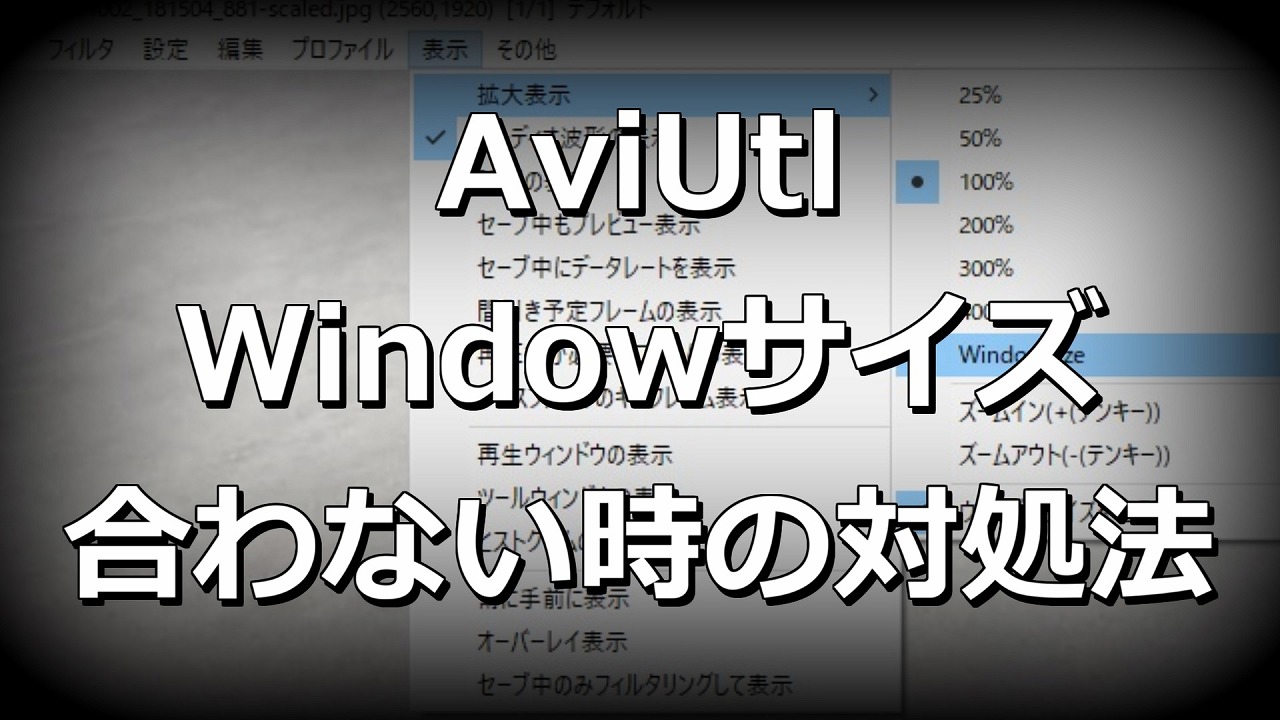 Aviutl ウィンドウサイズが合わない時の対処法 もみじの咲く頃に